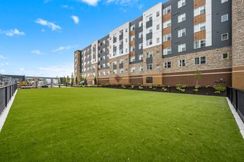 Dog park view